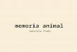 Memoria Animal