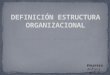 Definición estructura organizacional b