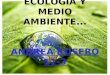 Ecologia y medio ambiente