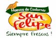 Codornices Colombia - San Felipe