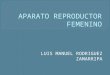 anatomia general aparato reproductor femenino