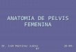 Anatomia De Pelvis Femenina
