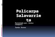 Policarapa Salavarrieta