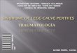 Sindrome de-legg-calv-perthes-1-1196308860212774-2 (pp tshare)