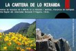 Lo Miranda, Doñihue, Provincia de Cachapoal. VI Region Del Libertador Bernardo O'Higgins