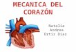 Mecanica del corazón