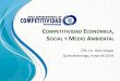 Competitividad económica