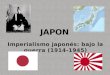 Japon: Imperialismo Japones bajo la guerra (1914 1945)