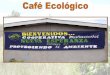 Cafe ecológico