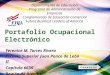 Portafolio Ocupacional Electronico Yerenice Torres español