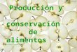 Tema 7 producción y conservación de alimentos