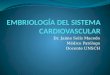 Embriología del sistema cardiovascular