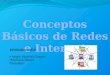CONCEPTOS BÁSICOS DE REDES E INTERNET