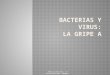 Bacterias Y Virus  Gripe A