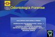Odontología forense 2010