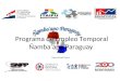 Programa de empleo temporal ñamba’apo paraguay. 