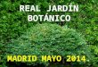 Jardín botánico_Madrid