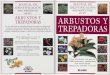 Aaa023x   botanica - jardineria - libro guia - arbustos y trepadoras (royal h society - blume)