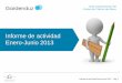 Informe ene-jun-2013