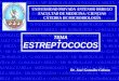Estreptococos (1)