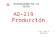 Ad 219 produccion`clase 1
