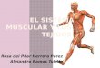 Este anatomía del sistema muscular humano rosi y ale bio 1ºa ct