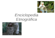 Enciclopedia etnografica