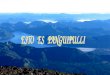 Defensa de Panguipulli, Frente Ambientalista Mongen Mapu