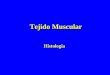 Tejido muscular1 (1)
