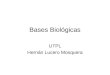 Bases biológicas composición y función celular i bimestre