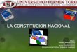 La constitución nacional