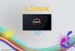 sistema operativo Linux
