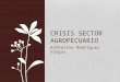 Crisis sector agropecuario