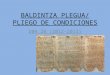 Baldintzen plegua/PLIEGO DE CONDICIONES 2B