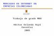 Mercadeo en internet en empresas colombianas 2005