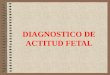 5   diagnostico de actitud fetal