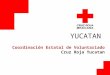 Presentacion voluntariado yucatan