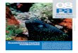 02   els ecosistemes marins mediterranis