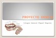 263.proyecto dental