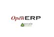 Open ERP El Exito De Ricardo