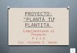 Proyecto: "Plantá tu Plantita"