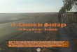 19 Camino de Santiago (El Burgo Ranero - Arcahueja) 29,100 km
