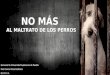 "No más al maltrato de los perros" presentación