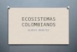 Ecosistmas colombianos