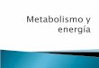 Biolo metabolismo