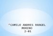 Camilo andres rangel moreno