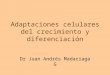 Adaptaciones celulares del crecimiento y diferenciación