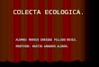 Colecta ecologica marcos