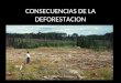 Consecuencias de la deforestacion