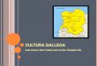 Cultura gallega